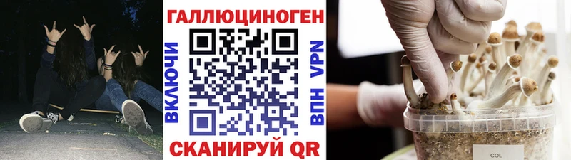 Галлюциногенные грибы мицелий  наркота  Ахтырский 